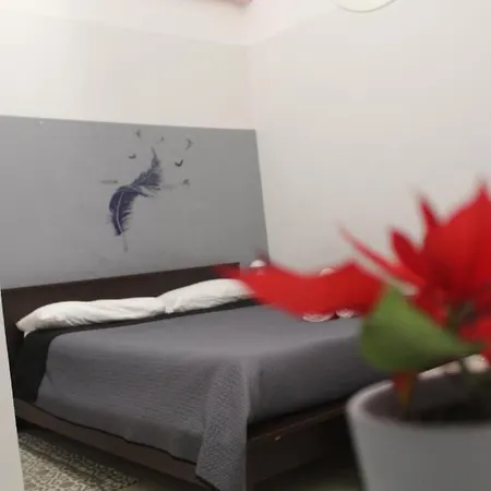 Kimia Home, Centro 게스트하우스 3*